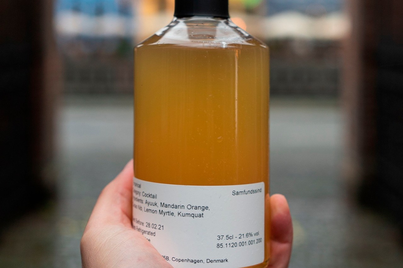 Empirical's SAMFUNDSSIND with Byrdi