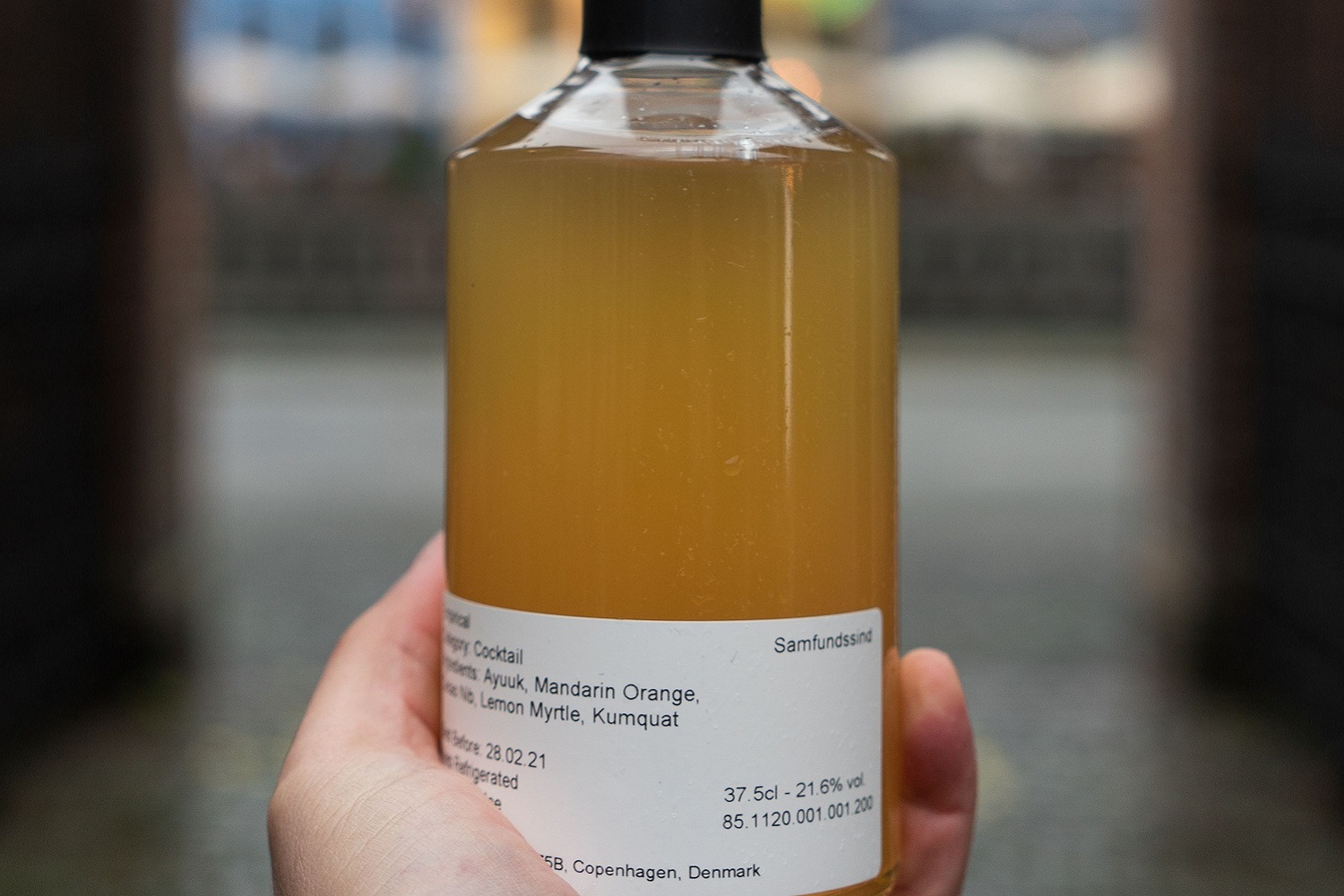 Empirical's SAMFUNDSSIND with Byrdi