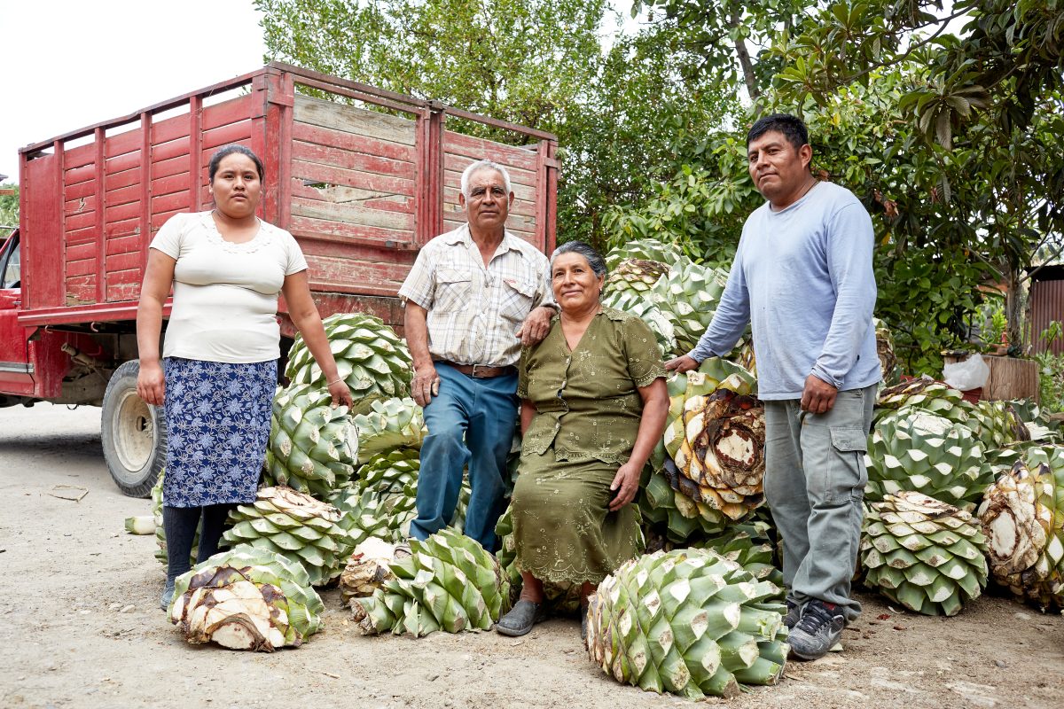 Los Vecinos: Community-driven mezcal from the Sazerac team